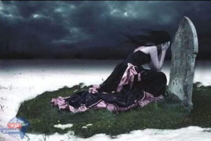 FB IMG 1677189338617