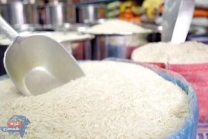 الأرز 740x375 1