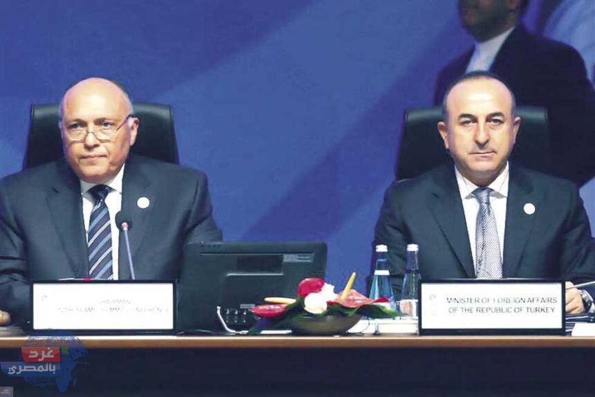 تشاووش أوغلو: تركيا ومصر أبدتا إرادة تعزيز العلاقات في الطاقة والتجارة والنقل والدبلوماسية