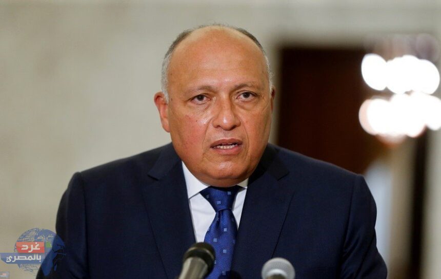 الخارجية المصرية: ضرورة خروج جميع المرتزقة الأجانب من ليبيا الخارجية المصرية: ضرورة خروج جميع المرتزقة الأجانب من ليبيا