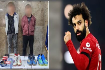 سيلسشلسشلسيشل