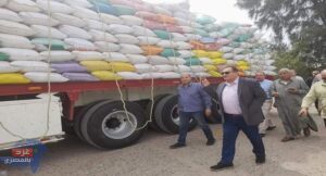 القصير يتابع موسم حصاد وتوريد القمح في رابع أيام العيد وزير-الزراعة-يتابع-حصاد-القمح