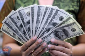 سعر الدولار في مصر