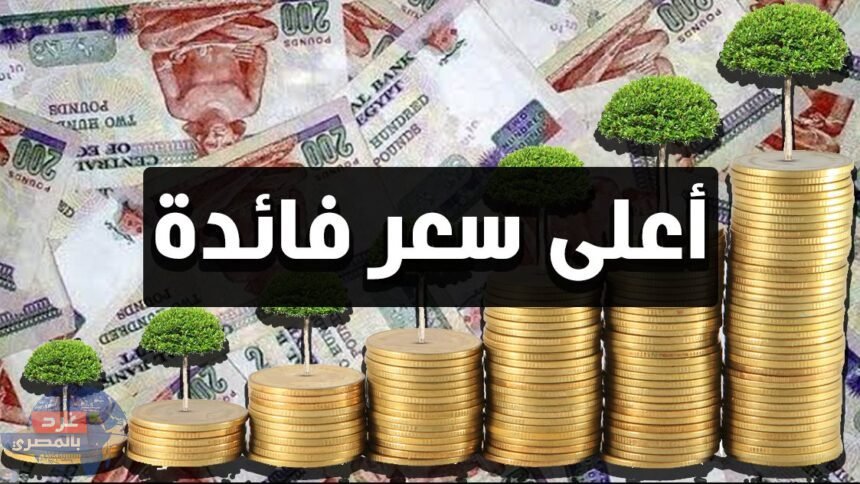 شهادات ادخار جديدة في البنوك.. تصل إلى 39%
