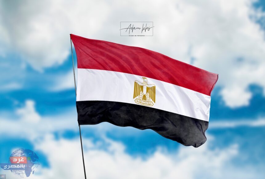 مصدر مسؤول: لاصحة لإنتاج مصر 40 ألف صاروخ ليتم شحنها لروسيا مصدر مسؤول: لاصحة لإنتاج مصر 40 ألف صاروخ ليتم شحنها لروسيا