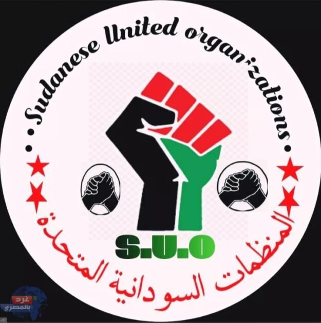 .هيئات أهلية سودانية