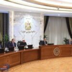 الحكومة : 5500 جنيه سعر ضمان لتوريد قنطار القطن طويل التيلة