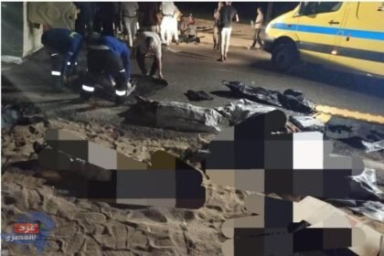 قرار عاجل من محافظ الوادي الجديد بعد حادث التصادم المرعب