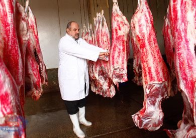 طرح لحوم بـ 195 جنيها في المجمعات الاستهلاكية..استعداد لعيد الأضحى