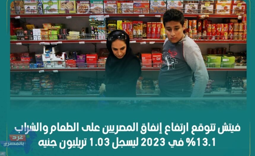 فيتش : يرتفع إنفاق المصريين على الطعام والشراب بنسبة 13.1% في العام الجاري