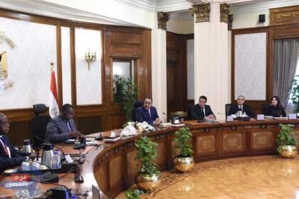 مدبولي : السويدي تسعى للمشاركة بمشروع الربط الكهربائي بين زيمبابوي وزامبيا وبوتسوانا وناميبيا