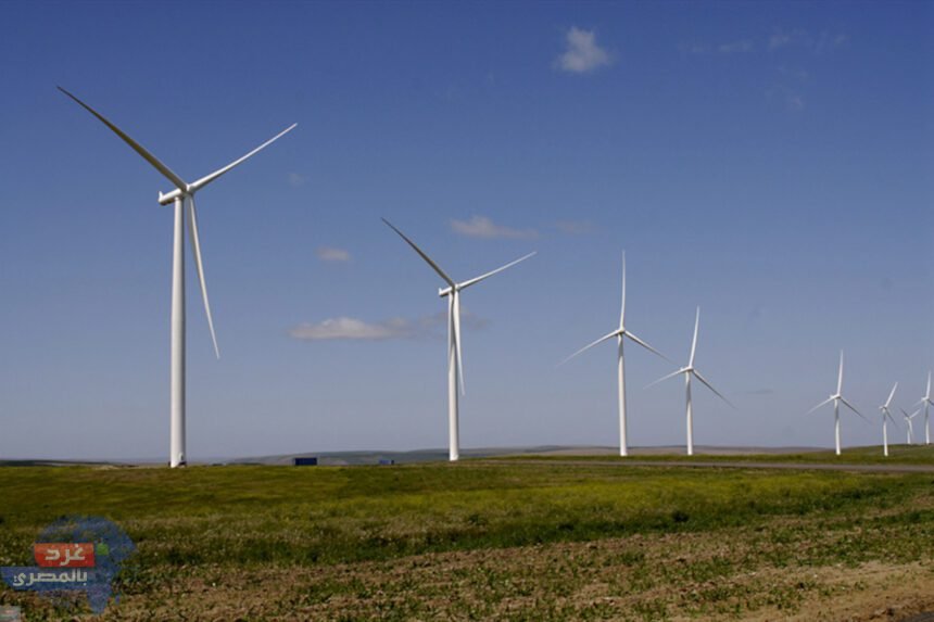 12772542671686072897