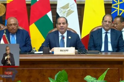 الرئيس السيسي يعلن البيان الختامي لقمة دول جوار السودان