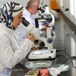 وقاية النباتات يفحص أكثر من ٢٩ الف طرد نحل حي للتصدير