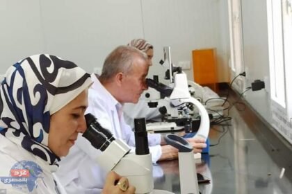 FB IMG 1688506760647