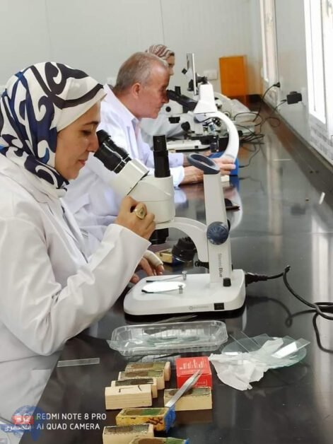 FB IMG 1688506760647