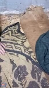 FB IMG 1689290938300 1