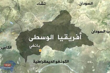 رئاسة ‎أفريقيا الوسطى : ‎فرنسا سحبت قواتها من بلادنا بطريقة أحادية