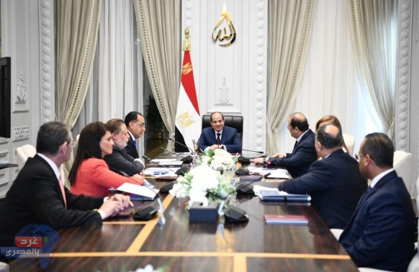 السيسي: الحد من آثار الأزمة الاقتصادية العالمية على المواطنين ونعظيم دور القطاع الخاص