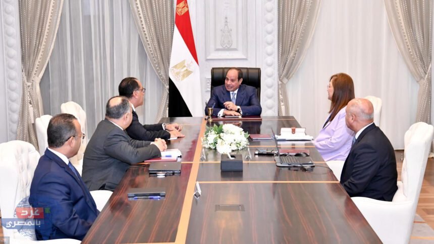 السيسي يوجه بتكثيف العمل على تعزيز الصناعة الوطنية بكل المجالات الإنتاجية