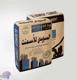 Blue Bag 2 270x300 1