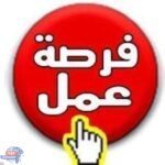 وزارة العمل: 2387 فرصة عمل في 36 شركة خاصة داخل 9 محافظات