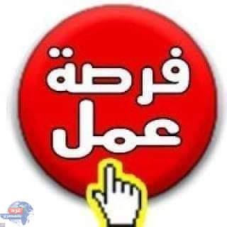 وزارة العمل: 2387 فرصة عمل في 36 شركة خاصة داخل 9 محافظات