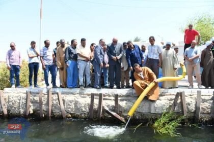 محافظ قنا يشهد إنزال مليون زريعة سمكية بنهر النيل
