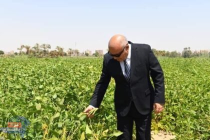 محافظ قنا يتفقد محصول فول الصويا ..ضمن مشروع الـ1000 فدان