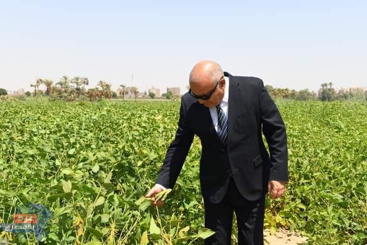 محافظ قنا يتفقد محصول فول الصويا ..ضمن مشروع الـ1000 فدان