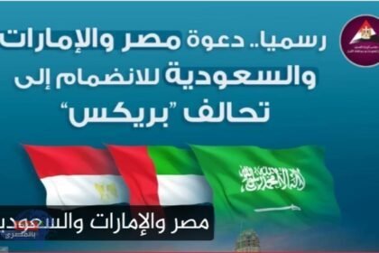 رسميا ..تحالف بريكس يدعو مصر والسعودية إلى عضويته