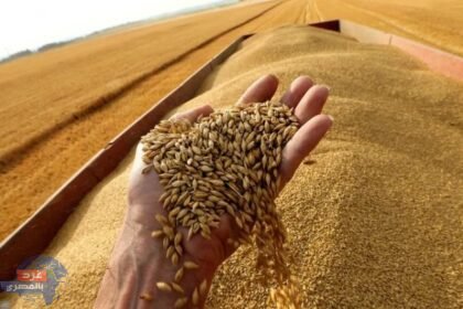 image 750x 64198d36d57e7