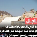 الري المصرية: استئناف مفاوضات سد النهضة في القاهرة بحضور وفدين من السودان وإثيوبيا