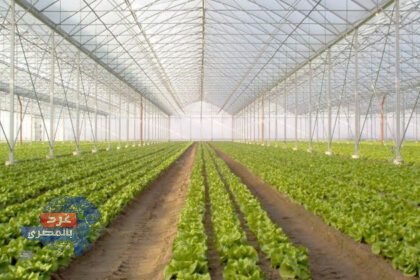 الجيش يطرح إدارة وتشغيل الصوب الزراعية أمام القطاع الخاص