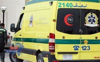 مصرع شقيقين وإصابة 4 آخرين في انقلاب سيارة بطريق قنا – سوهاج