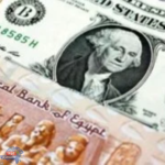 استقرار سعر الأخضر أمام الجنيه المصري في تعاملات اليوم السبت 15-6-2024