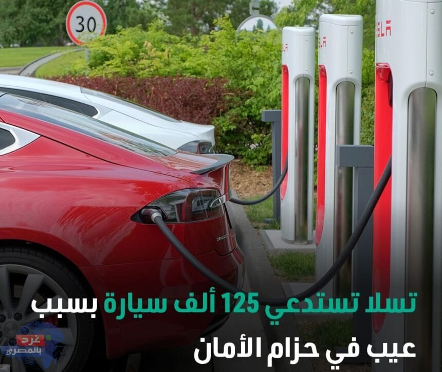لعيب في حزام الأمان تسلا تستدعي 125 ألف سيارة في الولايات المتحدة