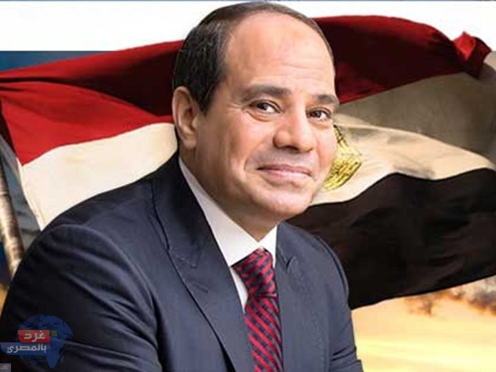 تصريحات السيسي: مصلحة الشعب وضمانة الاستثمار.. ومصر سوق ضخم يتمتع بقوة عاملة كبيرة