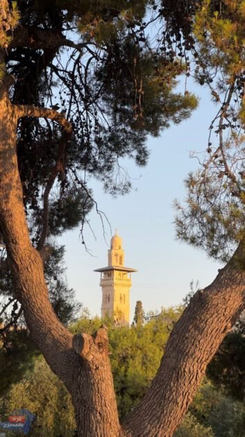 المسجد الاقصى2