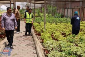 مياه القاهرة: زراعة 200 ألف شتلة نباتية في المساحات الخضراء