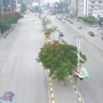 مبادرة ١٠٠ مليون شجرة بمحافظة القليوبية