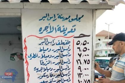 محافظة دمياط: تواصل المراقبة على مواقف سيارات الأجرة لضمان الالتزام بالتعريفة المحدثة
