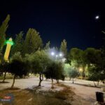 صور.. من باحات المسجد الأقصى المبارك فجر اليوم