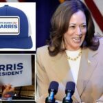 "White Dudes for Harris"