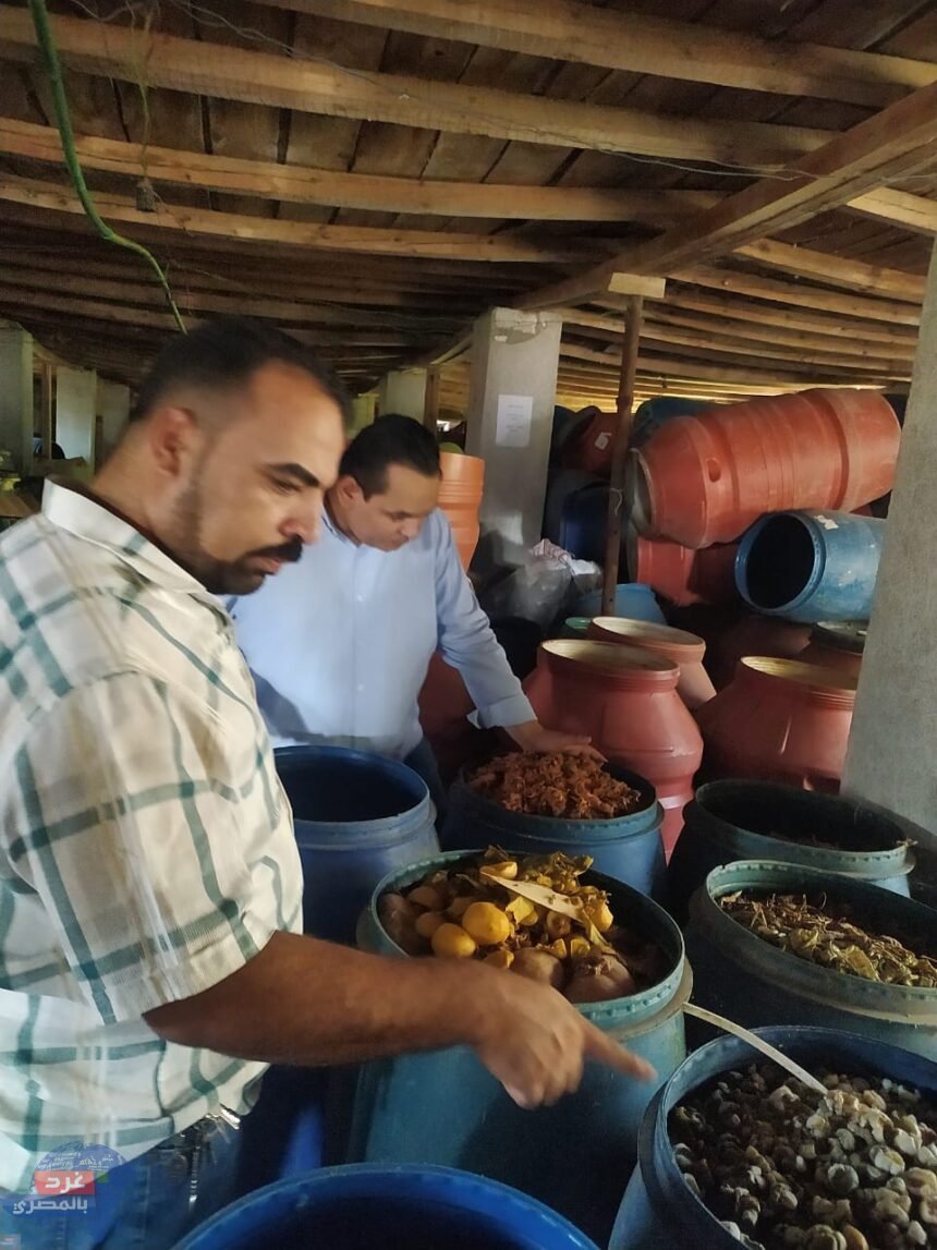 WhatsApp Image 2024 07 26 at 1.30.56 PM