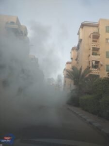 أحياء دمياط الجديدة تشهد حملات مكثفة لمكافحة الحشرات الطائرة 4 الجديدة44