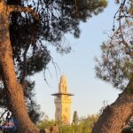 صور من باحات المسجد الأقصى المبارك صباح اليوم