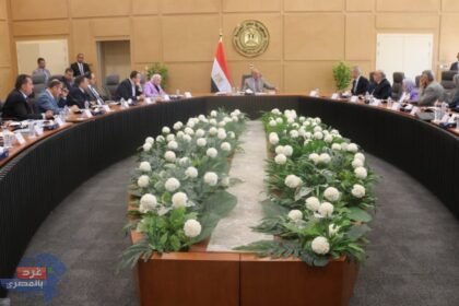 الكهرباء :كفاءة التشغيل وخفض استهلاك الوقود وتقليل الفاقد والتصدى لسرقة التيار الكهربائي