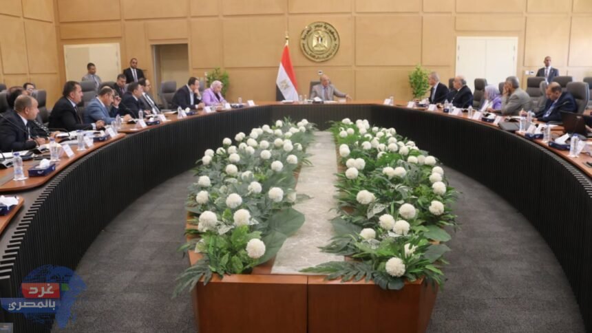 الكهرباء :كفاءة التشغيل وخفض استهلاك الوقود وتقليل الفاقد والتصدى لسرقة التيار الكهربائي