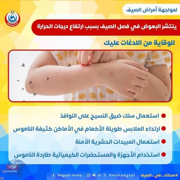 الصحة :لتجنب لدغات البعوض خلال فصل الصيف: اتباع النصائح التالية